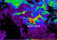 Chlorophyll data at Crozet islands