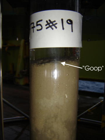 Sediment core collected at M6. 
