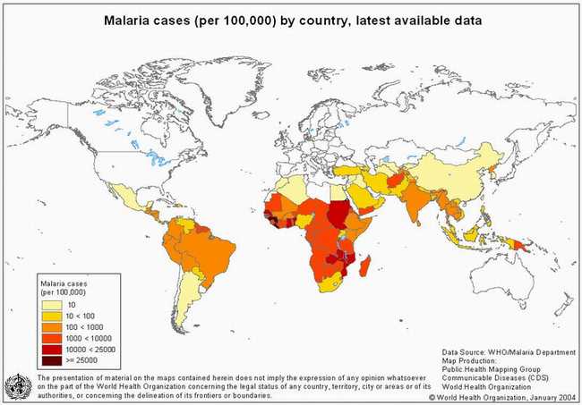 Malaria Epidemic