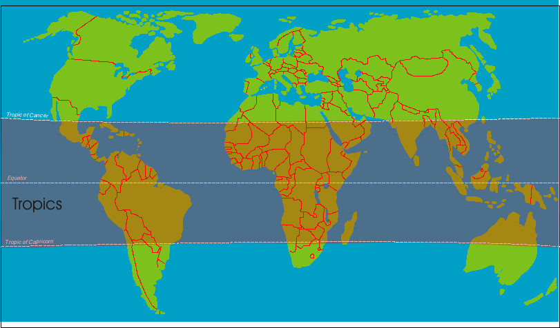 World Map With Tropics Understanding Epidemics: Hiv/Aids: Geography