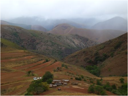 Barberton Mountain Land