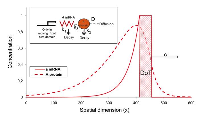 Figure2.tif