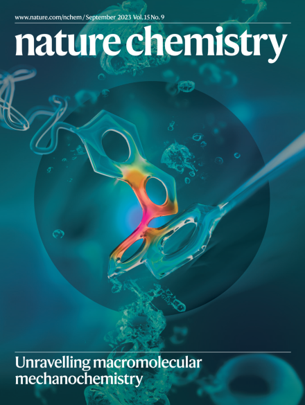 Nature Chemistry September 2023 Cover
