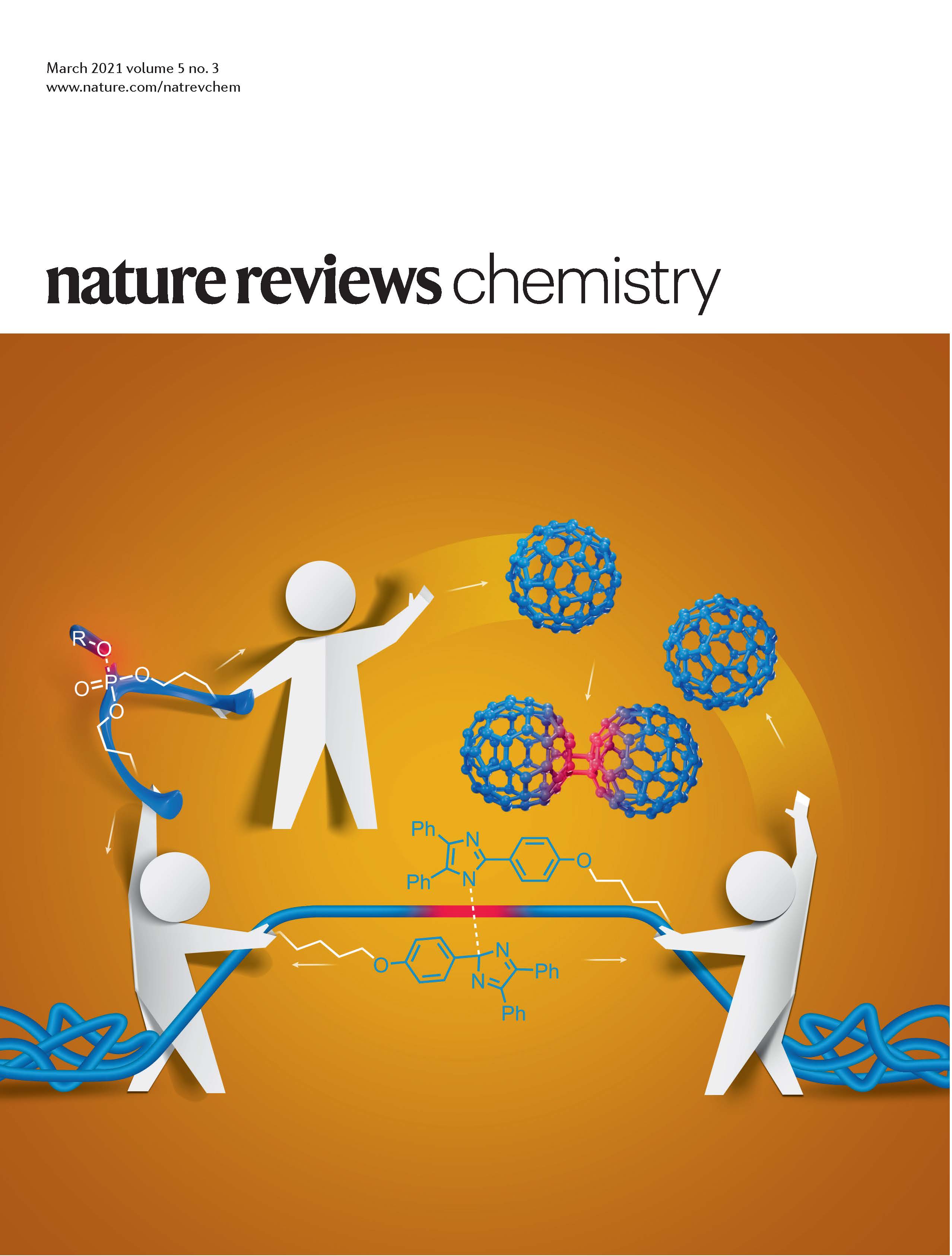 Nature Rev. Chem. March 2021 cover