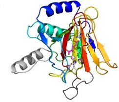 A model of a DUF2086 protein