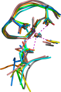 Convergently evolved calcium-binding motifs