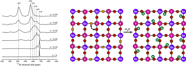 Protonic Conductors