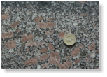 Granite (Shap granite) showing phenocrysts