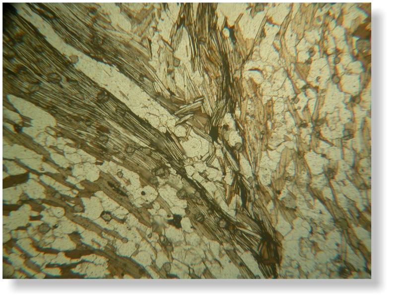 actinolite thin section