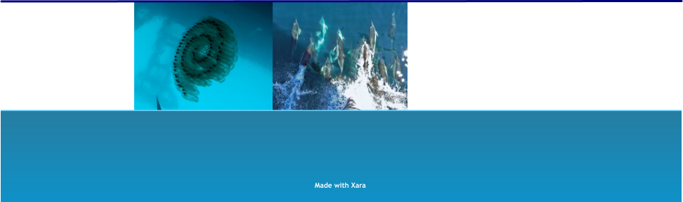 Made with Xara