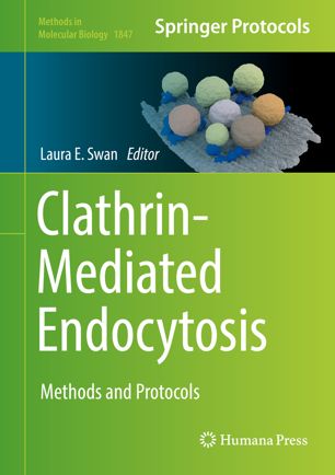 Clathrin-Mediated Endocytosis: Methods and Protocols. (Book) Swan, L. E. (2018). Clathrin-Mediated Endocytosis: Methods and Protocols. (Vol. 1847).