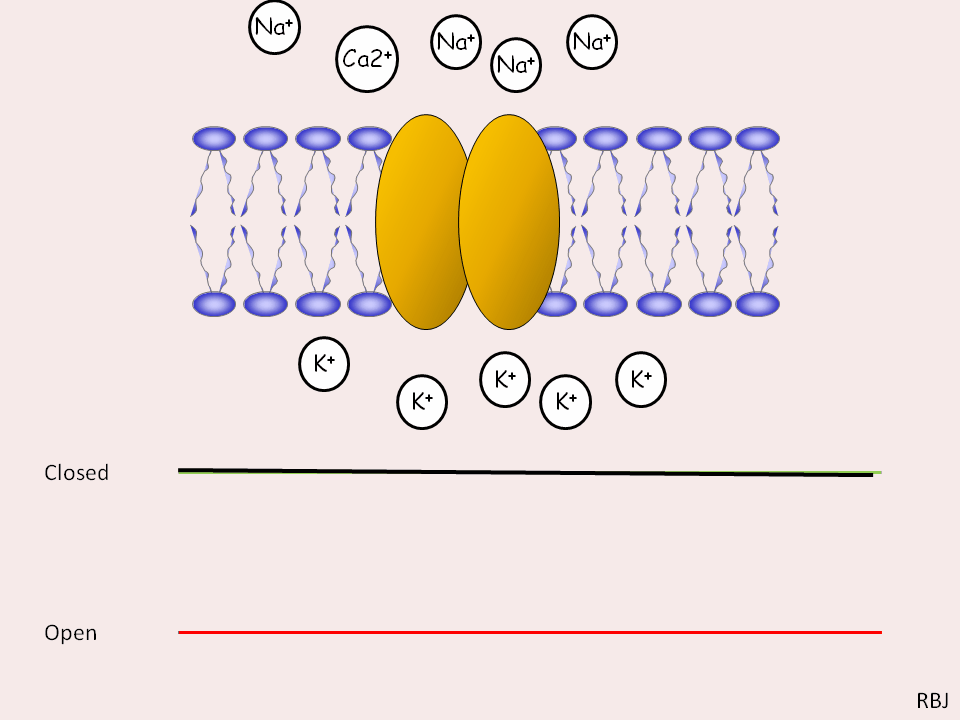 channanimation.gif