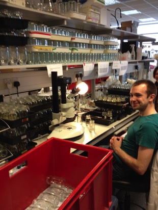 Chris Shirley who completed an MRes in the lab working on this project (which involved a lot of jars!)