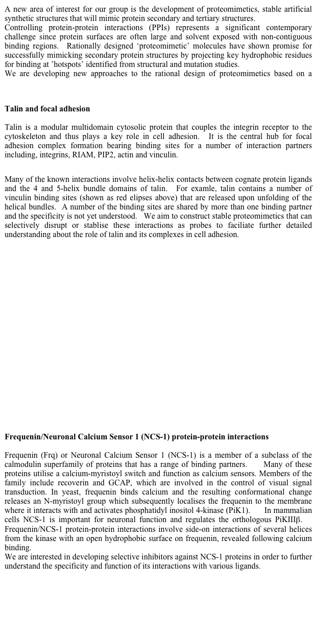 A new area of interest for our group is the development of proteomimetics, stable artificial synthetic structures that will mimic protein secondary and tertiary structures.
Controlling protein-protein interactions (PPIs) represents a significant contemporary challenge since protein surfaces are often large and solvent exposed with non-contiguous binding regions.  Rationally designed ‘proteomimetic’ molecules have shown promise for successfully mimicking secondary protein structures by projecting key hydrophobic residues for binding at ’hotspots’ identified from structural and mutation studies.
We are developing new approaches to the rational design of proteomimetics based on a detailed knowledge of structures protein-protein complexes obtained in the Liverpool NMR Centre for Structural Biology.

Talin and focal adhesion

Talin is a modular multidomain cytosolic protein that couples the integrin receptor to the cytoskeleton and thus plays a key role in cell adhesion.  It is the central hub for focal adhesion complex formation bearing binding sites for a number of interaction partners including, integrins, RIAM, PIP2, actin and vinculin.[1]  


Many of the known interactions involve helix-helix contacts between cognate protein ligands and the 4 and 5-helix bundle domains of talin.  For examle, talin contains a number of vinculin binding sites (shown as red elipses above) that are released upon unfolding of the helical bundles.  A number of the binding sites are shared by more than one binding partner and the specificity is not yet understood.   We aim to construct stable proteomimetics that can selectively disrupt or stablise these interactions as probes to faciliate further detailed understanding about the role of talin and its complexes in cell adhesion.





















Frequenin/Neuronal Calcium Sensor 1 (NCS-1) protein-protein interactions

Frequenin (Frq) or Neuronal Calcium Sensor 1 (NCS-1) is a member of a subclass of the calmodulin superfamily of proteins that has a range of binding partners.[2]  Many of these proteins utilise a calcium-myristoyl switch and function as calcium sensors. Members of the family include recoverin and GCAP, which are involved in the control of visual signal transduction. In yeast, frequenin binds calcium and the resulting conformational change releases an N-myristoyl group which subsequently localises the frequenin to the membrane where it interacts with and activates phosphatidyl inositol 4-kinase (PiK1).[3]  In mammalian cells NCS-1 is important for neuronal function and regulates the orthologous PiKIIIβ.[4]  Frequenin/NCS-1 protein-protein interactions involve side-on interactions of several helices from the kinase with an open hydrophobic surface on frequenin, revealed following calcium binding. 
We are interested in developing selective inhibitors against NCS-1 proteins in order to further understand the specificity and function of its interactions with various ligands.