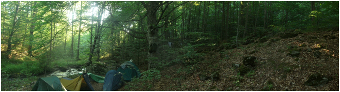 Field camp on Mt. Vermio, Greece. Field campaign at the southern distribution limit of Fagus sylvatica. Tree ring sampling in the 