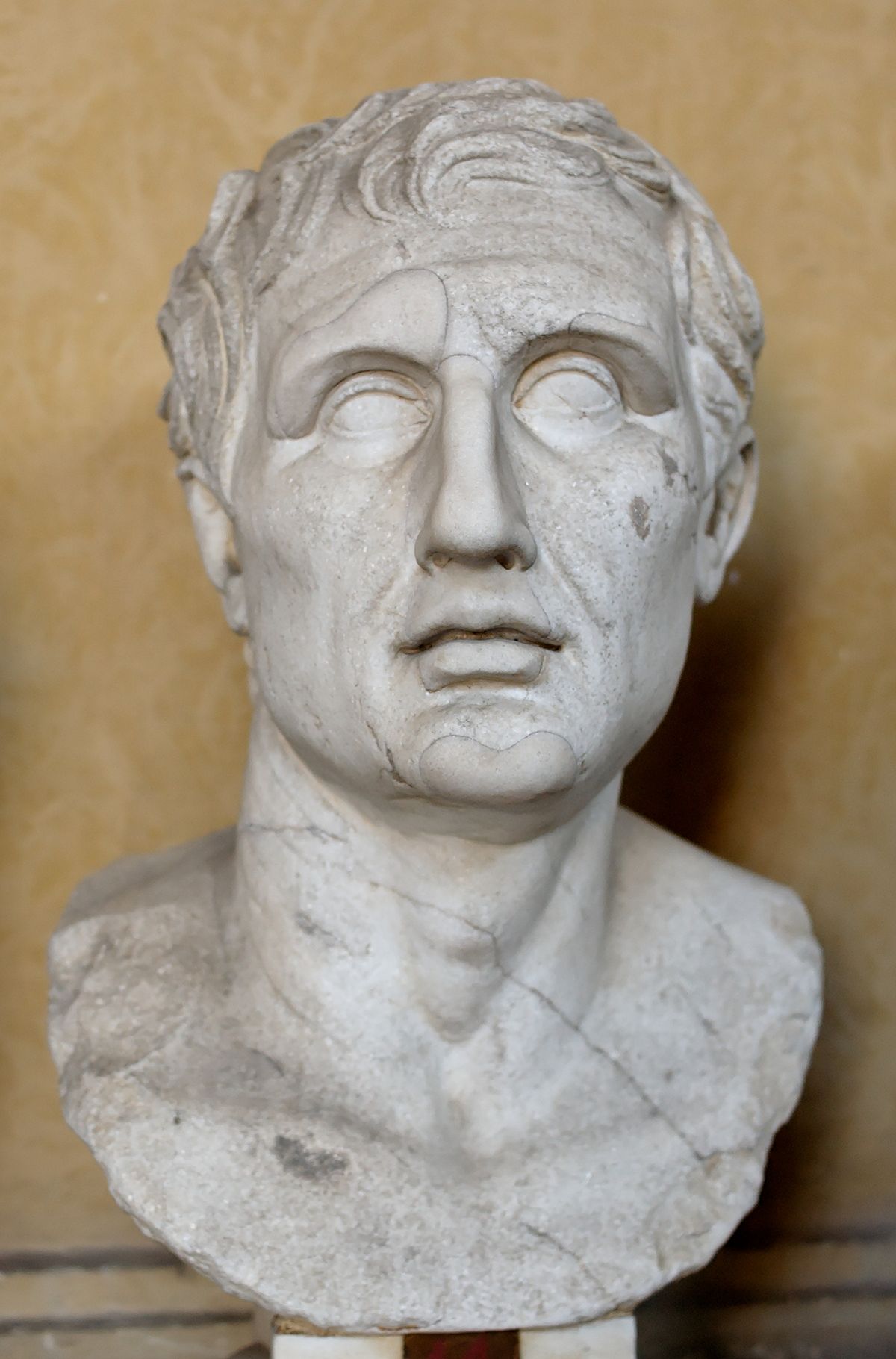 Menander of Athens (Roman copy of a Greek bust)
