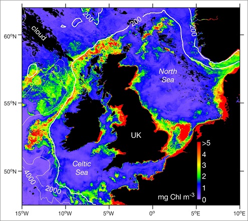 Distribution of chlorophyll in the sea surface in summer (satellite image courtesy of NERC Earth Observation Data Acquisition and Analysis Service, Plymouth Marine Laboratory).