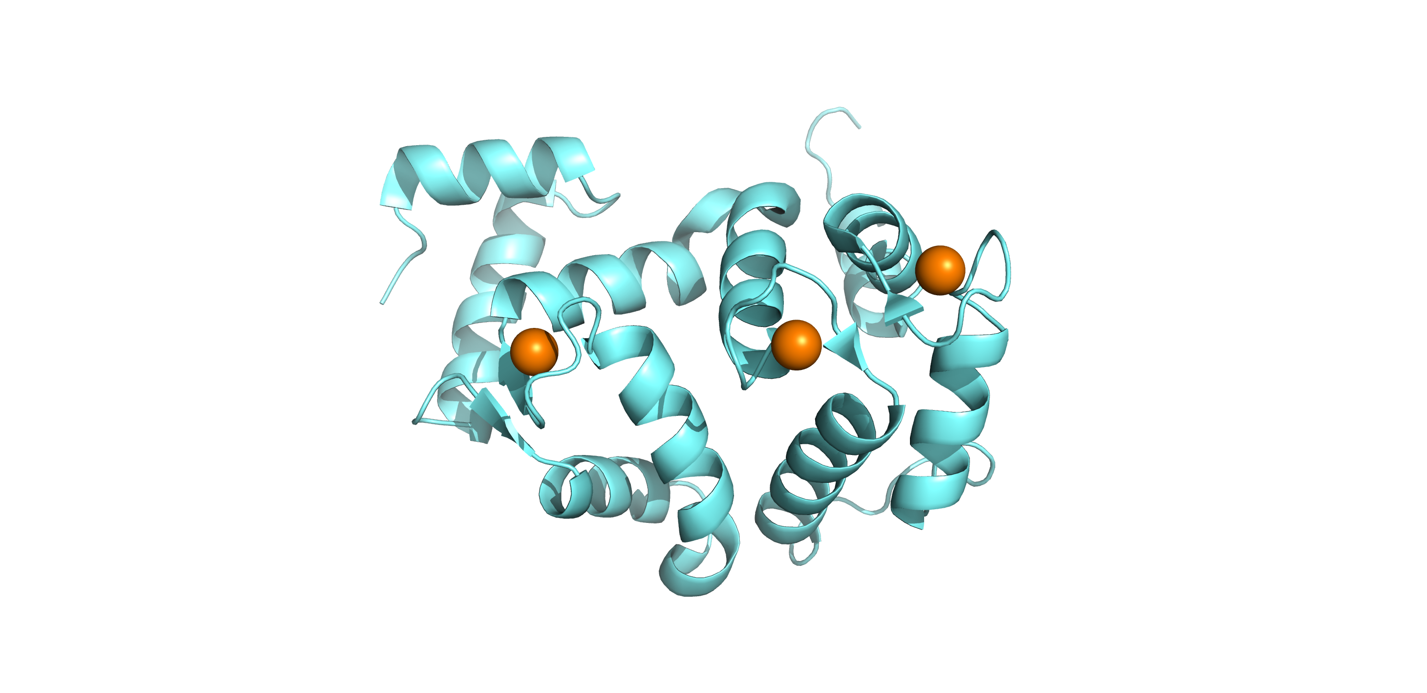 Cartoon representation of the crystal structure of human hippocalcin (PDB 5G4P) with 3 calcium ions bound at EF-2, EF-3 and EF-4 sites. (Helassa et al., Human Molecular Genetics, 2017)
