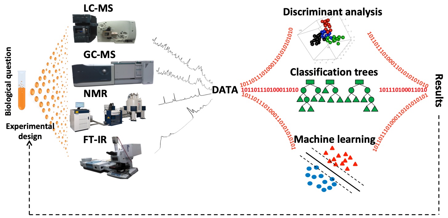 Typical chemometrics used for multivariate data analysis 