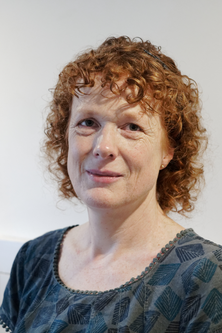 Photo of Professor Siobhan Chapman