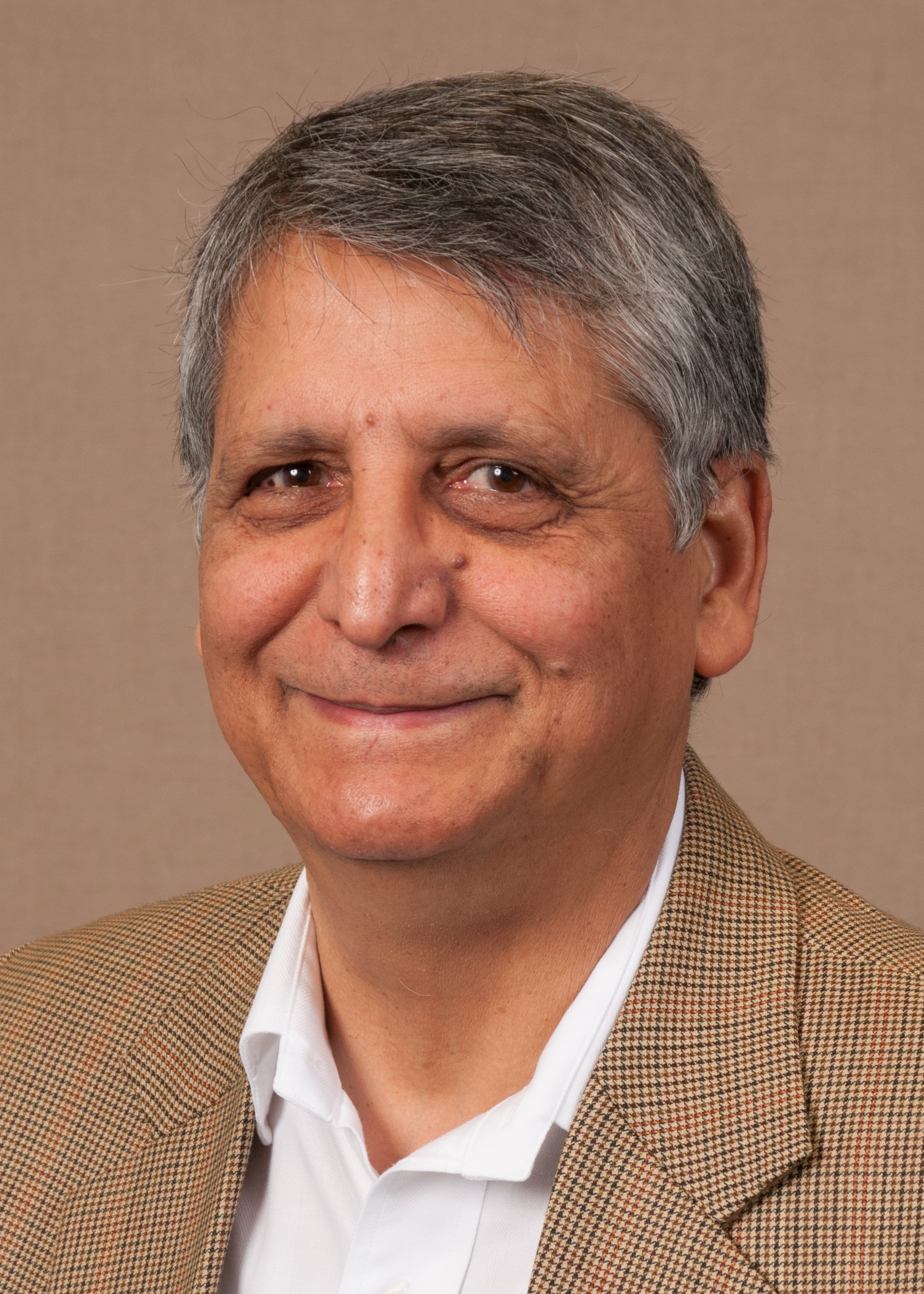 Photo of Professor Samar Hasnain